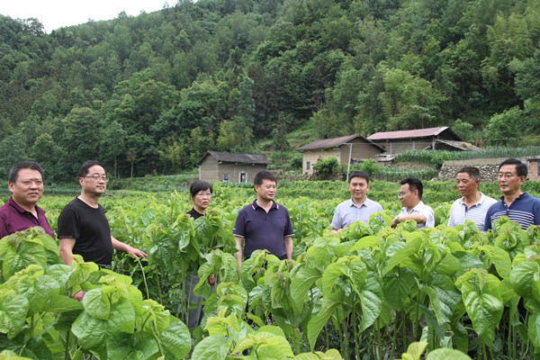 安康市商務(wù)局領(lǐng)導(dǎo)來我公司調(diào)研春蠶收購及扶貧點蠶?；亟ㄔO(shè)情況