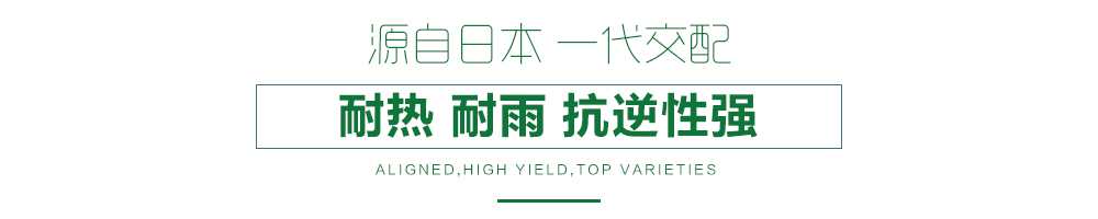 1557804231618561.jpg 詳情頁11.jpg