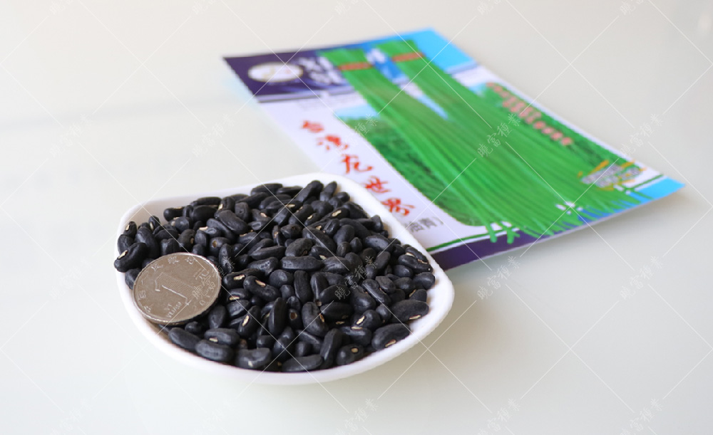 1557978060623666.jpg 50.jpg