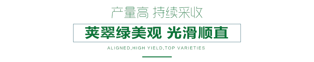 1558056945264773.jpg 詳情頁24.jpg