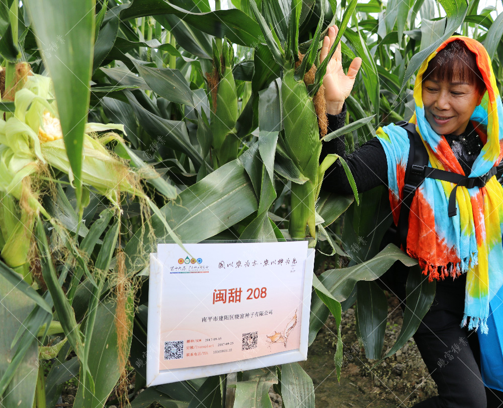 1558080413806110.jpg IMG_4641.jpg