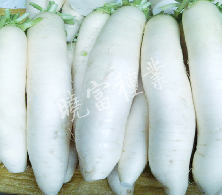 1585790166922587.jpg 02.jpg