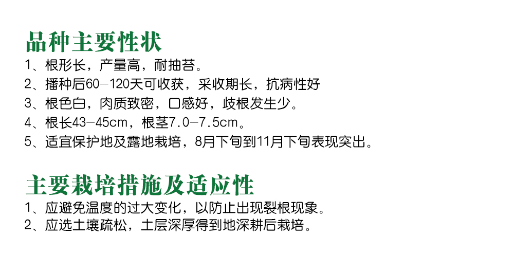 1585790485564385.jpg 10.jpg