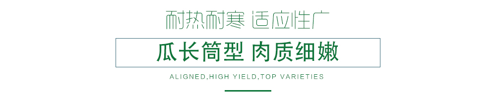 1585991915240931.jpg 07.jpg