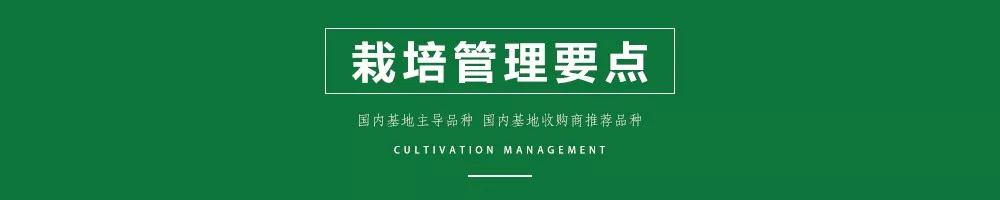 1585992717200392.jpg 09.jpg