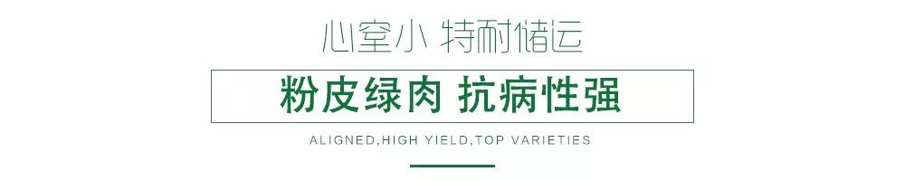 1585993371479754.jpg 03.jpg