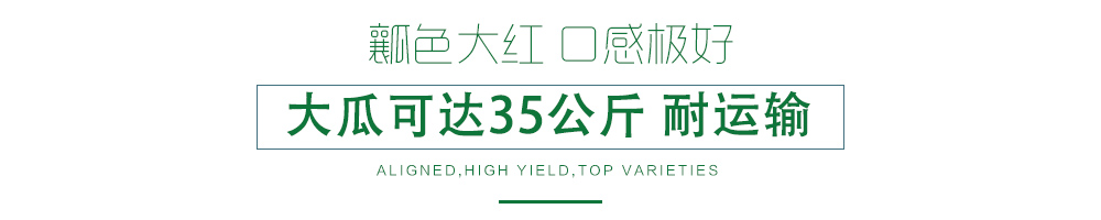 1585993740549543.jpg 03.jpg