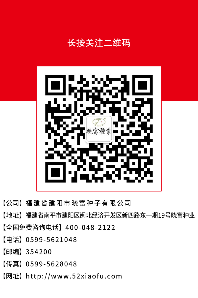 1666776003260543.jpg 頁底.jpg